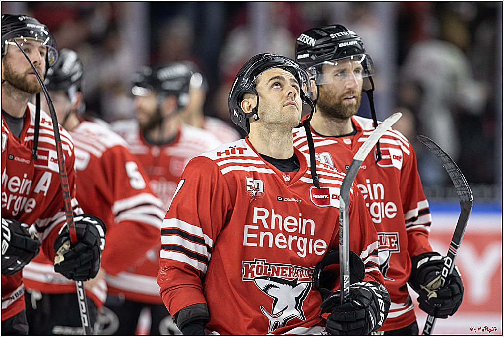 PENNY DEL;  Koelner Haie - Bietigheim Steelers; Koeln, 22.01.2023